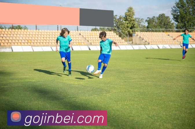 金贝娱乐城平台生态图